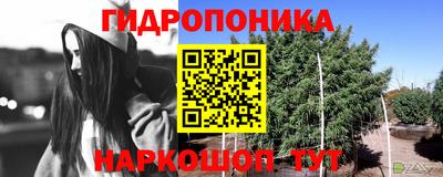 шишки Волгодонск