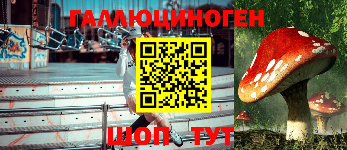 Галлюциногенные грибы мухоморы  Вход с VPN  Бердск  Псилоцибиновые грибы GOLDEN TEACHER 